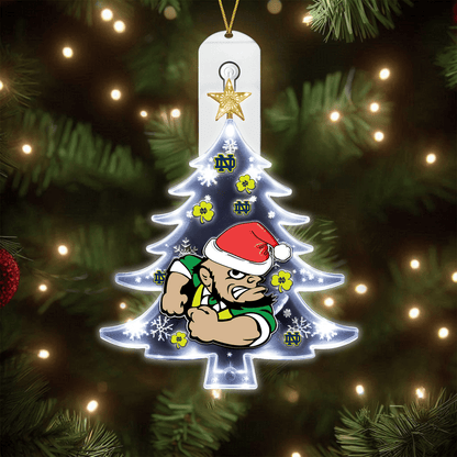 NDFI 2025 Acrylic Christmas Tree Topper & Ornament Bundle - Exclusive Festive Fan Collectible Gift Set