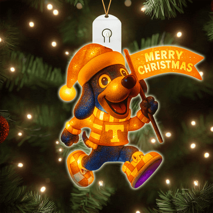 TNV 2025 Acrylic Christmas Tree Topper & Ornament Bundle - Exclusive Festive Fan Collectible Gift Set